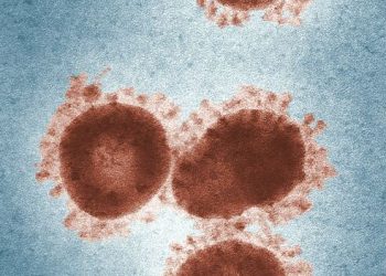 US indices to historical highs despite coronavirus death toll rise above 1000