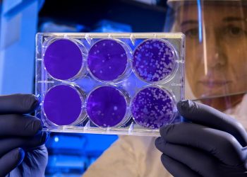 Virus shakes but doesn’t demolish optimism