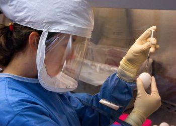 Renewed concern of coronavirus reversed recent positive market sentiment