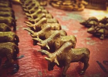 Bulls charge ahead to new highs