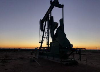 Oil price fallen below $23, confirm bearish trend