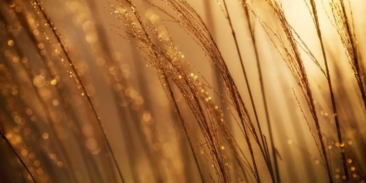 Gold price fell on growing fears of less demand from central banks