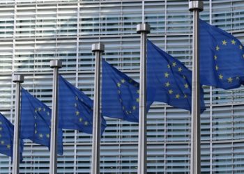 Euro Area, Quo Vadis?