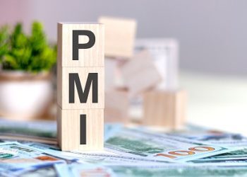 Morning Brief – PMI Day